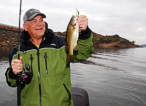 The author caught his chunky smallmouth using lead-core line.