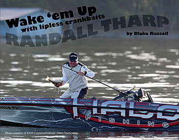 Lipless Crankbaits