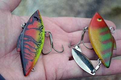 Major League Fishing angler Mark Daniels Jr. reduces the chance of snagging when fishing wood cover by removing the rear hook on his lipless crankbait. And adding a small willow-leaf blade gives pressured bass a different look, helping him catch more of them. (Photo by Pete M. Anderson)