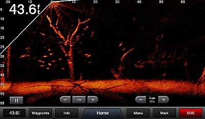 Garmin Panoptix LiveScope sonar provides both down and front imaging in real time.  (Image courtesy of Garmin)