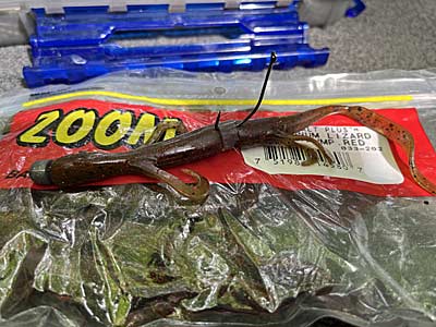 Any soft plastic bait can theoretically be rigged on a Neko Rig, and baits like a lizard are often overlooked for the technique.