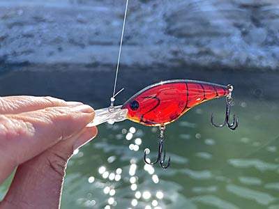 A flat-sided bait like the Berkley Frittside is a great cold water crankbait, and since it is made of plastic, it casts better than lightweight balsa baits.