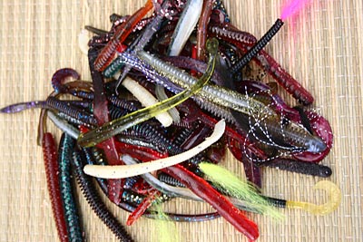 Organize your baits.