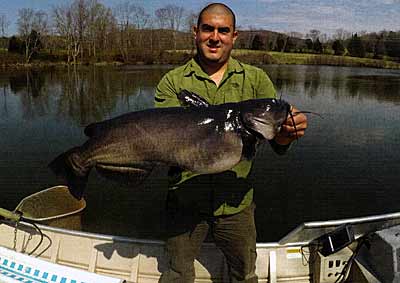 A trophy channel catfish; becoming more popular today.