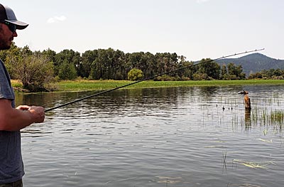 Wes Henry fishes as a moose swims in the background.