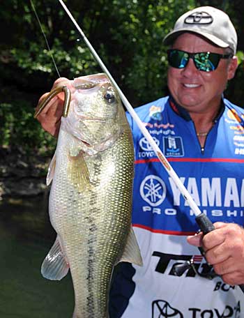 Terry Scroggins can catch bass on a Neko rig fished horizontally in the shallows or vertically in deep water.