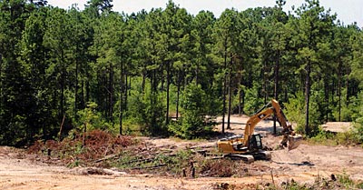 Placing structure for habitat.