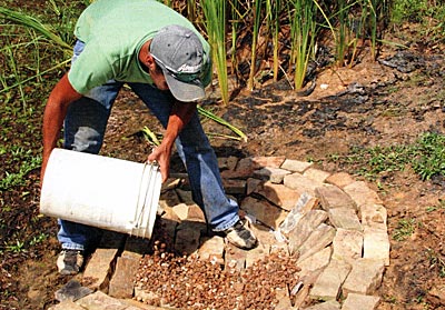 Be sure to study about, and create, the best habitat for the fish species of your choice. This smallmouth bass spawning bed is an example.