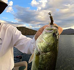 Pea head jig and 4-inch worm.