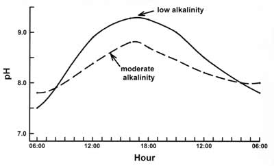 Daily changes in pH of waters in ponds of different total alkalinity.