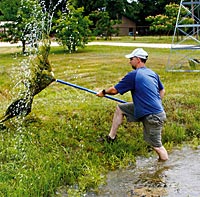 Too much plant life can cause problems.