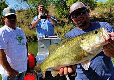 Bob Lusk records a rare animal - a large¬mouth in Ransom Canyon Lake. Evan Stone holds the evidence while John Hand witnesses the event, (by the author) 