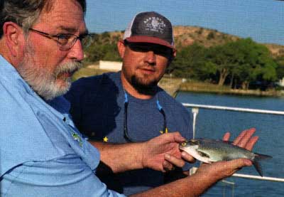 Like many aging lakes, Ransom Canyon in West Texas is overrun with gizzard shad and carp short on largemouth and other predator species, (photo by the author)