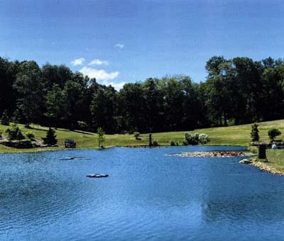 This pond was dyed for aesthetic appeal. That's a personal choice.