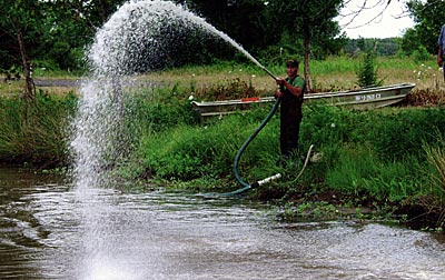 Just because a recommendation is made doesn't mean it will always work as a pond owner expects. There are lots of factors to predict.