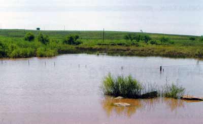 This pond has lots of influences to its chemistry. Dirt, rocks, and plants impact it. 