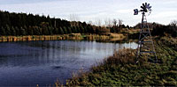 Winter pond maintenance