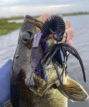 A heavy tungsten weight, straight shank hook, and soft plastic are essential punch baits. Adding a punch skirt adds bulk to your presentation.