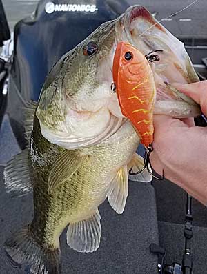 Red-colored baits are a must for the spring months.