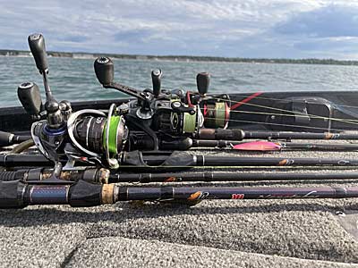 Best Spinning Reels