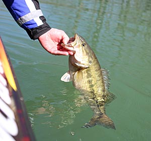 bass fishing tournaments