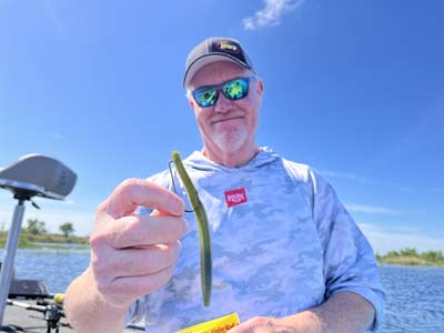 A Texas-rigged plastic is hard to beat and will remain pretty weedless.