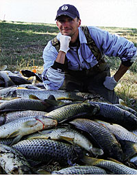 Just a small, small sampling of the more than 5,400 adult carp populating the lake