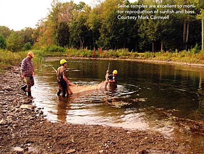 Seine samples are excellent to monitor reproduction of sunfish and bass. Courtesy Mark Cornwell