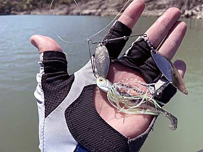 A shad-imitating spinnerbait features 17-7 stainless steel wire and electroplated blades for more flash.