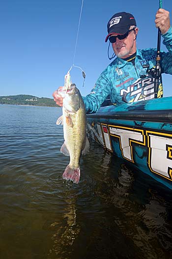 B.A.S.S. legend imitates fleeing shad by waking a spinnerbait in the fall.