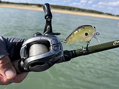 A good ultra-shallow crankbait allows you to fish these baits in places where others can't be fished effectively.