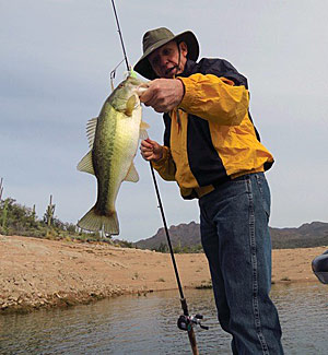 Spinnerbaits are great winter baits.