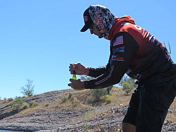 Dipping your lure in chartreuse dye helps trigger bites.