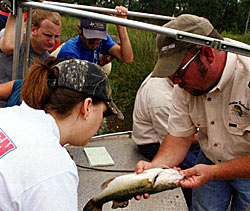 Judge your bass to decide whether to cull or leave them be.