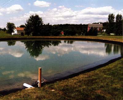 As an afterthought, we decided to put geotextile cloth around the pe¬rimeter and add small riprap to prevent erosion and invasive weeds.