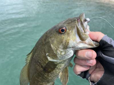 Soft plastic jerkbaits come in all shapes and sizes and work well for imitating a baitfish.