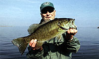 Smallmouth bass