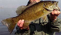 Nice smallmouth