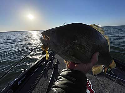 A closer look at the big smallmouth that fell for the swing head.