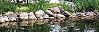 An example of rocky shoreline for good smallmouth habitat.