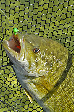 A lead-head jig is the perfect tool for delivering some of the best lures for smallmouth bass, but no one jig can do it all.