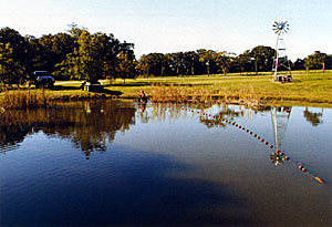 Smallmouth pond