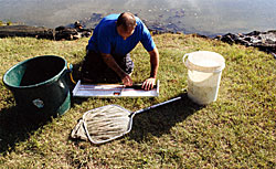 Smallmouth pond