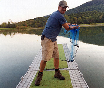 Almost every evening we'll toss the cast net to see what we can catch.