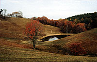 This little meadow pond is home to some big sunfish.