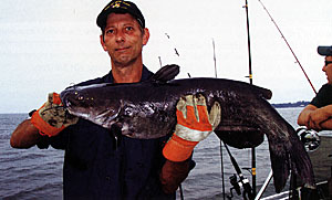 Randy Cornwell with another huge channel catfish.