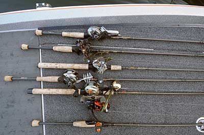 Jim Dill’s lure selection for spawning bass includes (from top) a tube bait, Carolina-rigged plastic lizard or creature bait, jig and craw, Swamp Bug, buzz bait, and stickworm. 