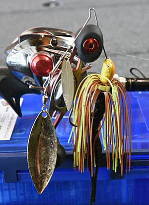 Spinnerbait