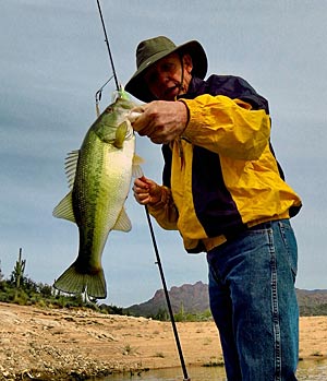 Bass on spinnerbait.