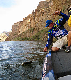 Marty Lawrence says the fish are usually 5 - 25 feet deep this time of year, and fixated on the bottom.